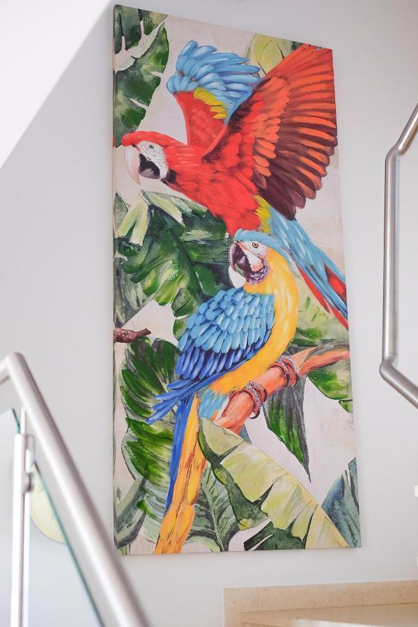 Ferienwohnung Amazing Views Casa Hummingbird Lagos Exterior foto